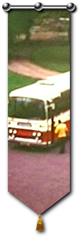 Bingham bus